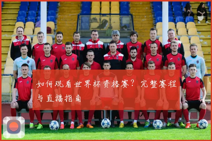 如何观看世界杯资格赛?完整赛程与直播指南
