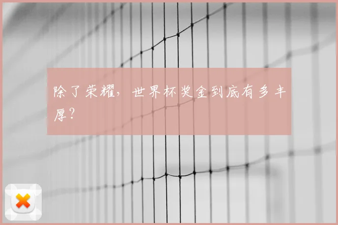 除了荣耀，世界杯奖金到底有多丰厚？