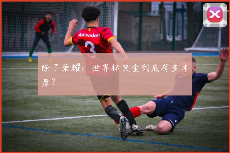 除了荣耀，世界杯奖金到底有多丰厚？